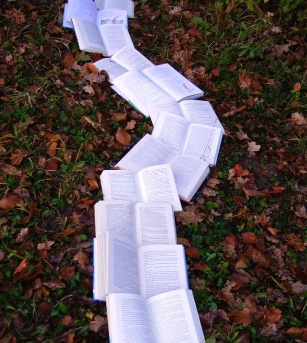 pathway of open books