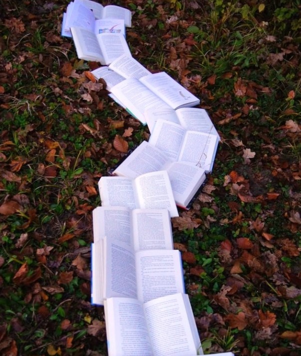 pathway of open books