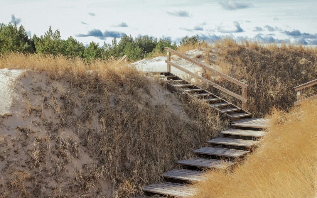 The Grief Journey Is Like a Trail in the Woods