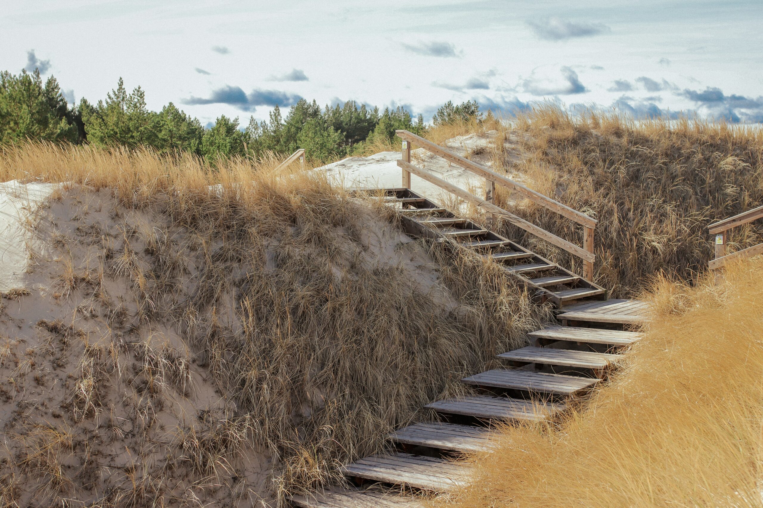 Dune trail