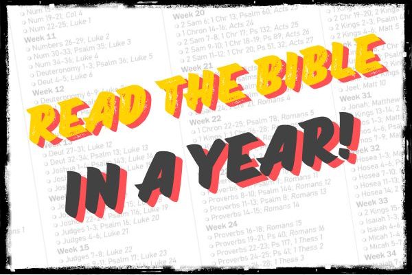 Quit The Bible in a Year Reading Plan