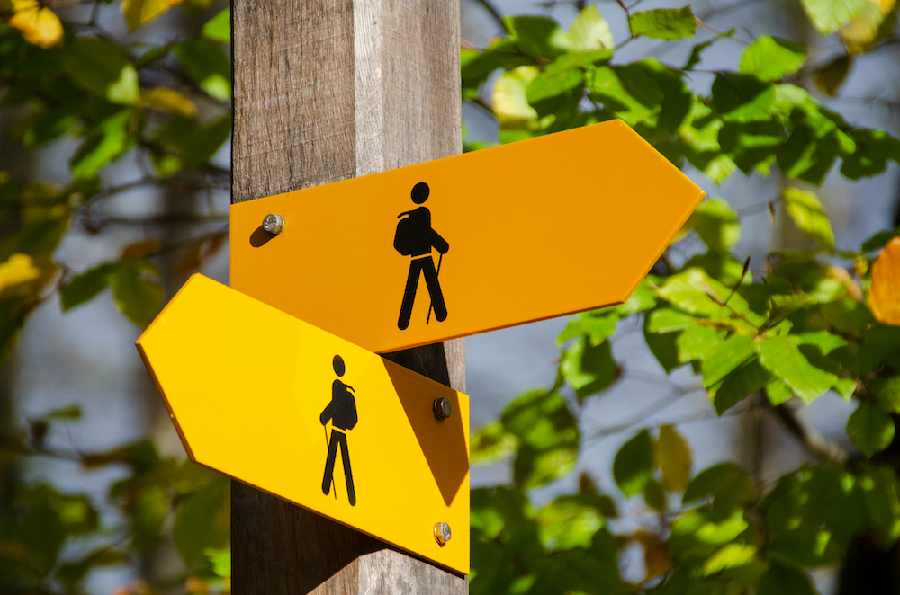 At an Intersection on Intersex and LGBTQ Inclusion, But Not on the Fence