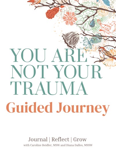 You Are Not Your Trauma Guided Journey