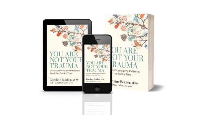 Cover of You Are Not Your Trauma, by Caroline Beidler, published by Lake Drive Books, 3d version